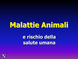 Malattie Animali e rischio della Salute dell`Uomo