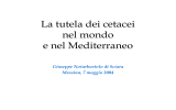 Presentazione di PowerPoint - Università degli Studi di Messina