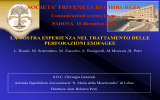 Presentazione di PowerPoint - Società Triveneta di Chirurgia