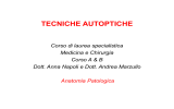 tecniche autoptiche - Studenti per l`università