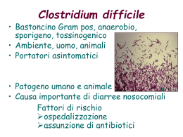 C. difficile