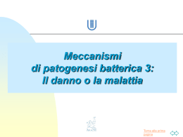 Nessun titolo diapositiva - Microbiologia TorVergata