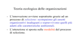 Lezione 16 Teoria ecologica e Teoria dipendenza dalle risorse