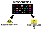 Citogenetica