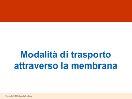 trasporto attraverso la membrana