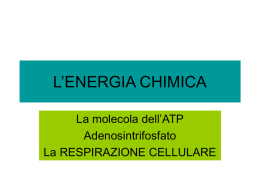 L`ENERGIA CHIMICA