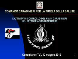 COMANDO CARABINIERI PER LA TUTELA DELLA SALUTE