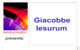 Giacobbe Iesurum parte III