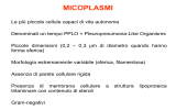 micoplasmi e ureaplasmi - Microbiologia TorVergata