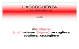 cos`è l`accoglienza