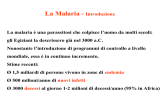 La malaria è una parassitosi che colpisce l`uomo da molti secoli