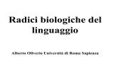 Radici biologiche del linguaggio Alberto Oliverio Università di Roma