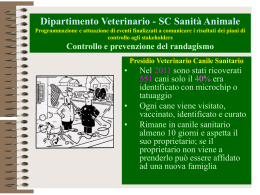 Presidio Veterinario Canile Sanitario 33%