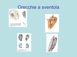 Otoplastica -orecchie a sventola