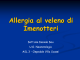 allergia al veleno di imenotteri