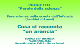 UNITA` DI LAVORO su “Alberi a foglie caduche e sempreverdi