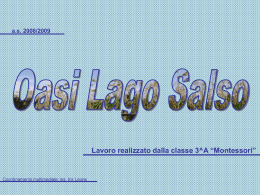 Oasi Lago Salso