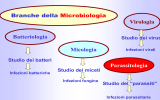 Presentazione di PowerPoint