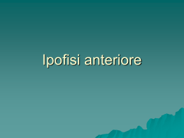 Ipofisi anteriore