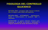 Metabolismo glucidi