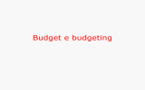 Il budget