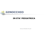 ginocchio - PediatriaMuccioli