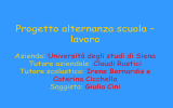 Cini Giulia: Stage Università degli Studi di Siena