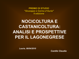 ppt premio dauria