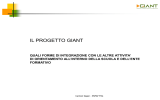 Carmen Segon - Il progetto GIANT