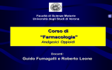 Diapositiva 1 - Università degli Studi di Verona