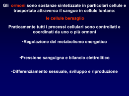 Presentazione di PowerPoint