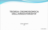 presentazione teoria cromosomica