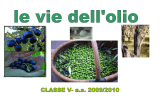 Le vie dell`olio 2010_2014 - Patto per la Scuola del Comune di