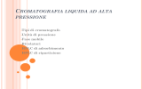 hplc di adsorbimento