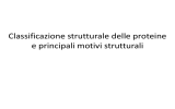 Classificazione strutturale delle proteine e principali motivi strutturali