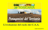 L`evoluzione del ruolo dei CAA