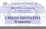 Segni distintivi - diritto.commerciale.unina2.it