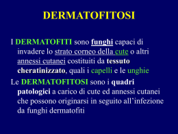 dermatofitosi (vnd.ms-powerpoint, it, 1560 KB, 5/23/07)