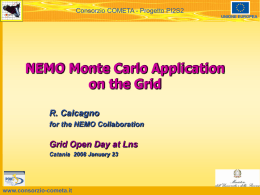 NEMO Monte Carlo Application on the Grid