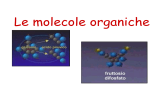 Composti organici - IIS Galilei Crema