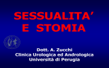 Presentazione di PowerPoint