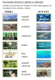 Ecosistema terrestre e marino a confronto