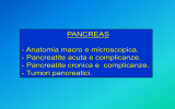 lezione PANCREAS - Infermieristica