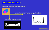 Nessun titolo diapositiva - Ematologia Universitaria Torino