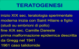 Principi di teratologia proposti da Wilson