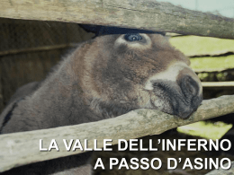 la valle dell`inferno a passo d`asino un nuovo modo di viaggiare