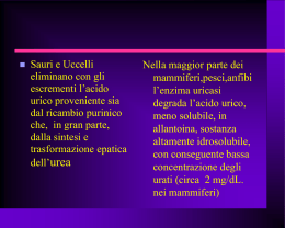 acido urico fattore di rischio cardio-vascolare