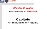 a-amminoacidi