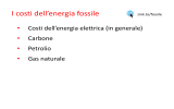 8. I costi dell`energia fossile