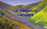 Farmacia Naturale - Dott. Eugenio Sclauzero